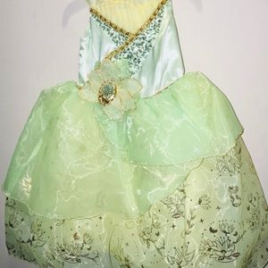 3T Disney Diana Costume